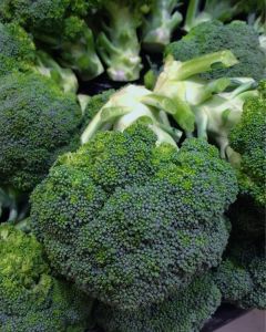 Broccoli for Culinary