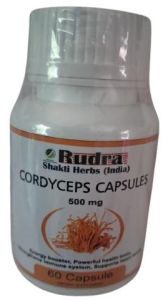 500mg Cordyceps Capsules, Brand Name : Rudra