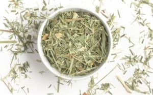 Dry Lemongrass Leaves