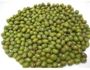 Green Natural Moong, Packaging Size : 50Kg