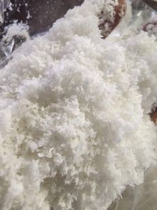 Desiccated Coconut Powder
