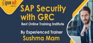 Sap GRC Online Training in Hyderabad Igrowsoft