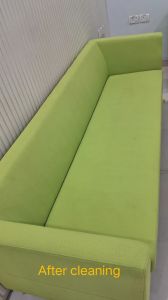 Sofa Shampooing Services