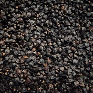 Organic Buckwheat Seeds