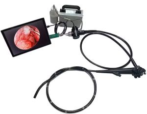 Flexible Video Duodenoscopy