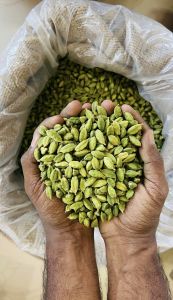 Organic Green Cardamom Food Grade for Cooking, Spices