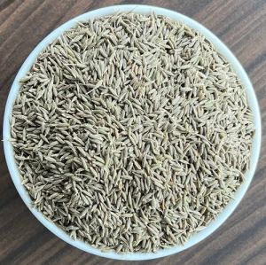 Brown Singapore 99 % Cumin Seed