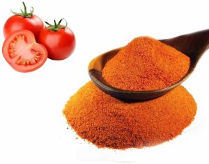 Spray Dried Tomato Powder, Packaging Type : Packet