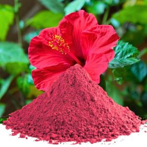 Herbal Powder