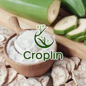 Natural Sun Dried Green Banana Powder, Packaging Size : 25-50kg