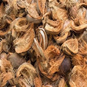 Coconut Husk, Color : Brown, Packaging Type : 5 Kg Bags