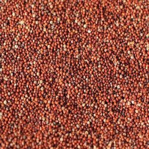Brown Finger Millet Seeds, Packaging Type : Packet