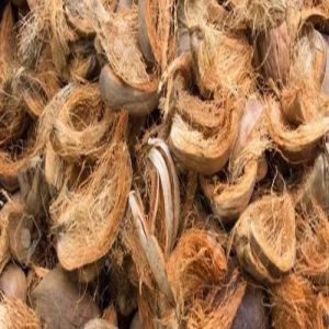 Coconut Husk, Color : Brown, Packaging Type : Gunny Bags