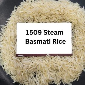1509 Steam Basmati Rice