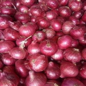 Fresh Medium Red Onion, Cultivation Type : Organic for Cooking