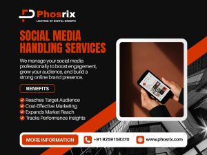 Social Media Management Services