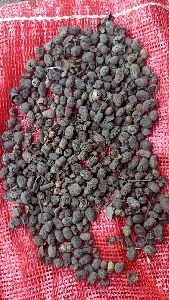 Jamun Seeds, Color : Black