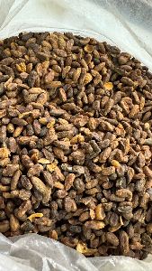 Common Neem Seeds, Color : Brown, Packaging Type : Plastic Bags