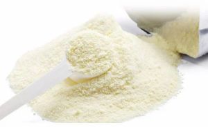 Skimmed Milk Powder, Color : White, Brand Name : Amul