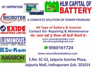 Inverter Battery