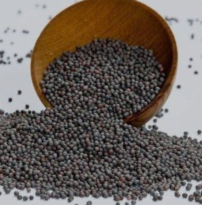 Black Mustard Seeds, Packaging Type : Plastic Packet Food Grade