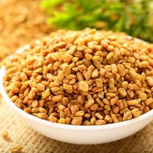 Organic Fenugreek Seeds, Seed Type : Natural Food Grade