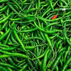 Organic Fresh Green Chilli, Form : Whole for Cooking