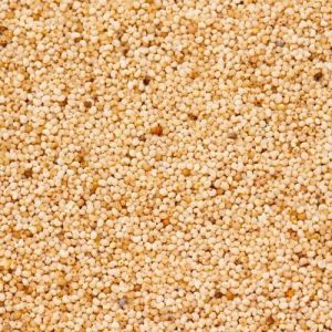 Food Grade Poppy Seeds, Packaging Type : Plastic Bag