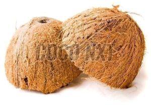 Coconut Shell