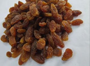 Organic Brown Dried Raisin, Packaging Type : Loose