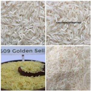 Long Grain 1509 Basmati Rice, Packaging Size : 25kg, 20kg