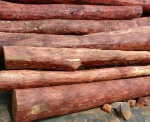 B Grade Red Sandalwood Logs