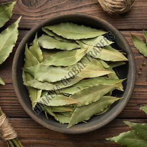 Green Dry Bay Leaf Food Grade for Cooking, Seasoning