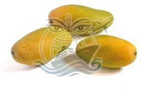Yellow A Grade Fresh Dasheri Mango, Packaging Type : Box