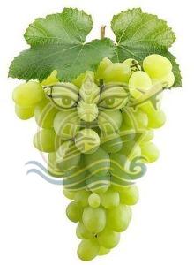 A Grade Fresh Green Grapes, Packaging Type : Box