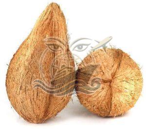 A Grade Fresh Semi Husked Coconut, Color : Natural Brown