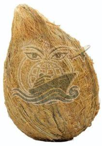 A Grade Large Semi Husked Coconut, Color : White Inner Flesh