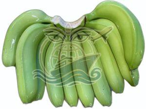 A Grade Maharashtra G9 Green Cavendish Banana