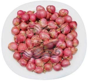 A Grade Small Red Onion, Packaging Type : Bag