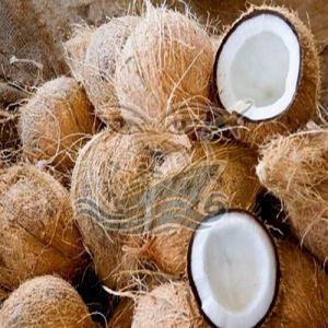 A Grade Solid Semi Husked Coconut, Color : Brown for Consumption