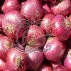 Export Quality Red Onion Medium To Large, Packaging Type : Bag