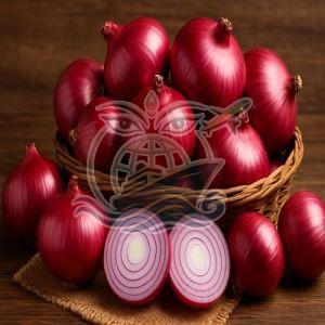 Fresh Nashik Red Onion, Packaging Type : Bag for Cooking