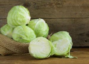 Crunchy Fresh Cabbage, Color : Green, Taste : Mild, Earthy