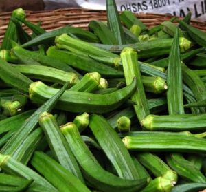 Fresh Green Okra, Packaging Type : Plastic Bags