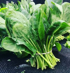 Fresh Green Spinach, Packaging Type : Bunches & Plastic Bags