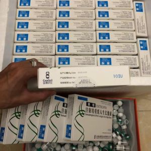 Jintropin 10 IU Injection