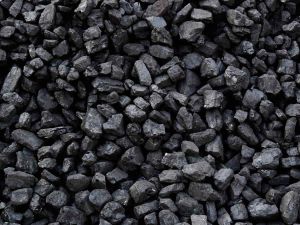 Petroleum Coal