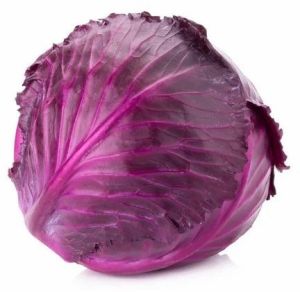 A Grade Fresh Red Cabbage for Salad & Cooking, Shelf Life : 10 Days