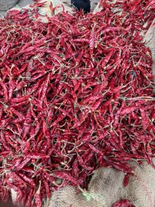 Armoor Dried Red Chilly Premium Export Quality