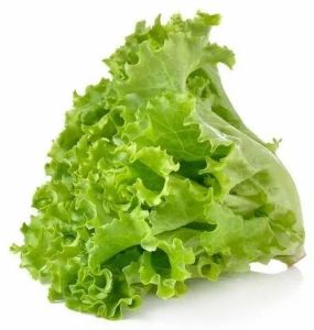Fresh Green Curly Leaf Lettuce 2kg – 5kg Boxes for Salad & Burgers